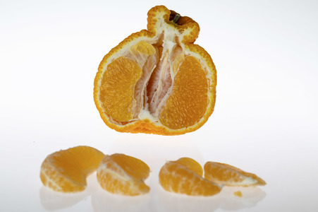 Symbolfoto Dekopon
