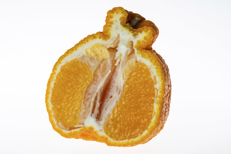Symbolfoto Dekopon