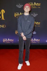 Theaterpremiere 'Harry Potter und das verwunschene Kind' in Hamburg