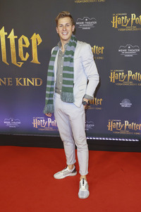 Theaterpremiere 'Harry Potter und das verwunschene Kind' in Hamburg