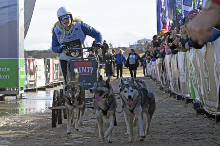 Baltic Lights 2023 auf Usedom