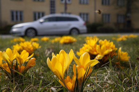 Frühling in Berlin