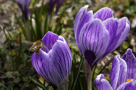 Frühling in Berlin