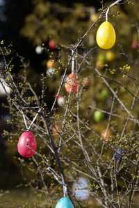 Symbolfoto Ostern