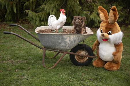 Sybolfoto Ostern