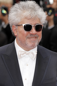 Filmpremiere 'Ich sehe den Mann deiner Träume', Cannes Film Festival 2010