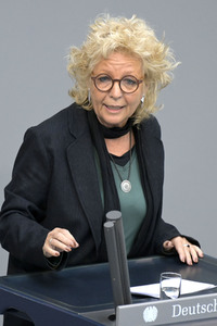 101. Sitzung des Deutschen Bundestages in Berlin