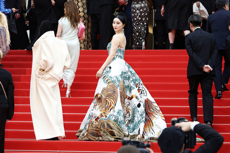 Festivaleröffnung mit Filmpremiere 'Jeanne du Barry', Cannes Film Festival 2023