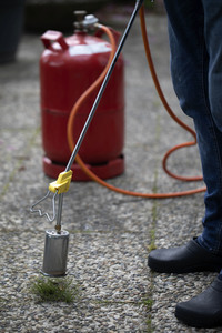 Symbolfoto Unkraut entfernen