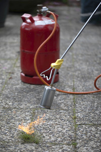 Symbolfoto Unkraut entfernen