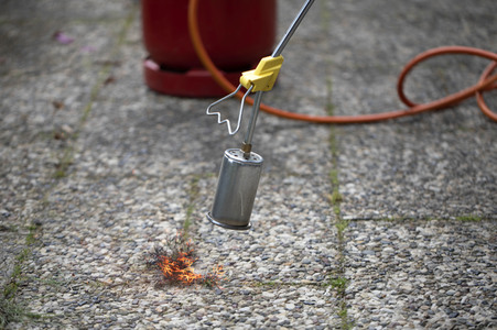 Symbolfoto Unkraut entfernen