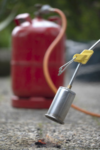 Symbolfoto Unkraut entfernen