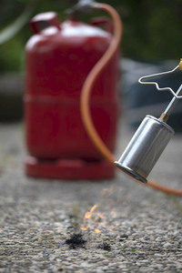 Symbolfoto Unkraut entfernen