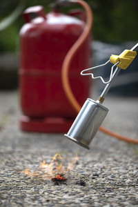 Symbolfoto Unkraut entfernen