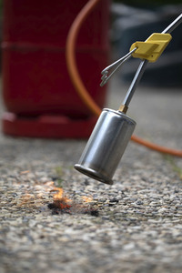 Symbolfoto Unkraut entfernen