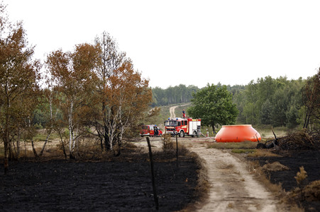 Waldbrand in Jüterbog