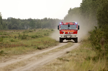 Waldbrand in Jüterbog