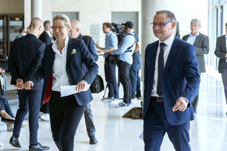 Fraktionssitzung der AfD-Bundestagsfraktion in Berlin