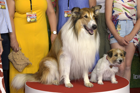 Filmpremiere 'Lassie - Ein neues Abenteuer' in Berlin
