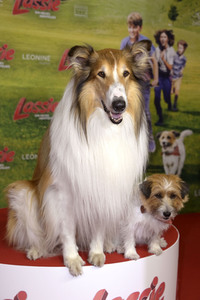 Filmpremiere 'Lassie - Ein neues Abenteuer' in Berlin