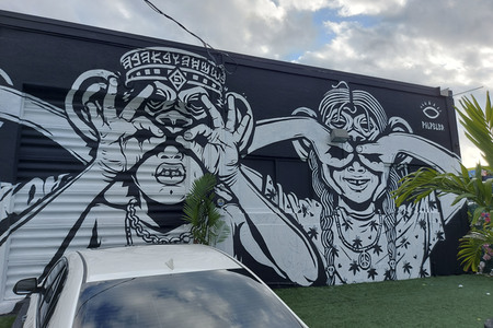 Statdteil Wynwood in Miami