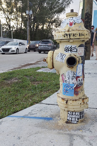 Statdteil Wynwood in Miami
