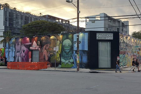 Statdteil Wynwood in Miami