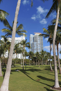Sightseeing Miami Beach
