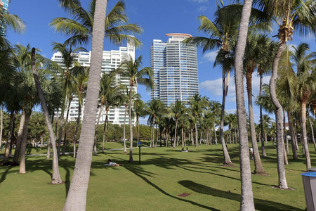 Sightseeing Miami Beach