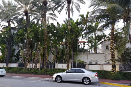 Sightseeing Miami Beach