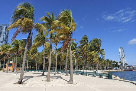 Downtown Miami