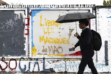 Graffiti-Krieg wegen China-Slogans in London