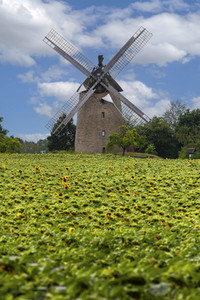 Königsmühle Seelenfeld in Petershagen