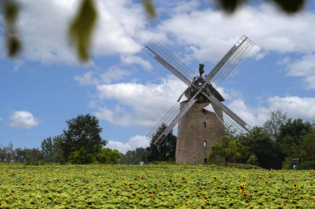 Königsmühle Seelenfeld in Petershagen