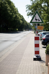 Symbolfoto 'Achtung Enten'