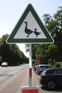 Symbolfoto 'Achtung Enten'