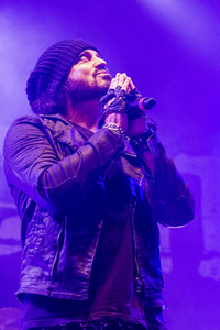 Paddy Rock Open Air in Halvestorf