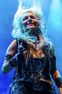 Paddy Rock Open Air in Halvestorf