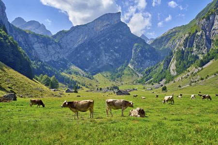 Seealpsee bei Wasserauen
