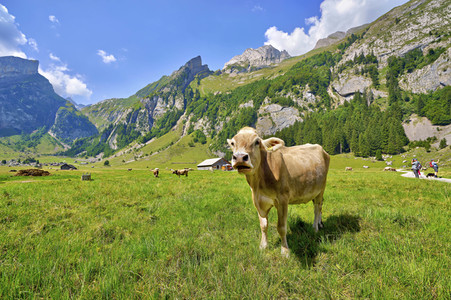 Seealpsee bei Wasserauen