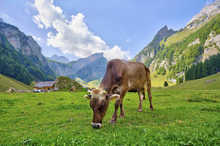 Seealpsee bei Wasserauen