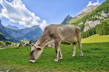 Seealpsee bei Wasserauen