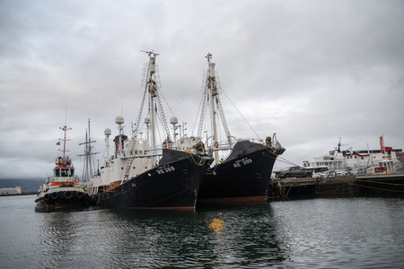 Walfänger in Reykjavik