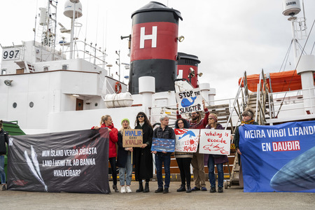 Protest gegen die Aufhebung des Walfangverbots in Reykjavik