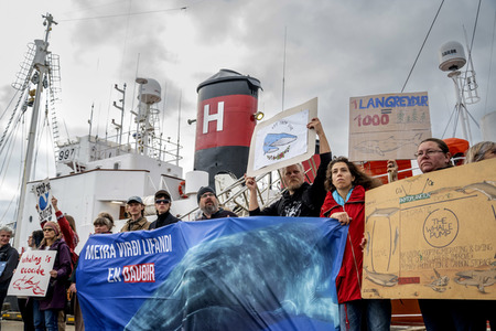 Protest gegen die Aufhebung des Walfangverbots in Reykjavik