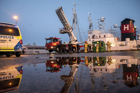 Tierschützer besetzen Walfängerschiff in Reykjavik