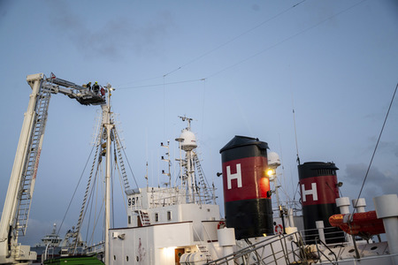 Tierschützer besetzen Walfängerschiff in Reykjavik