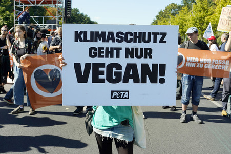 Globaler Klimastreik von Fridays for Future in Berlin