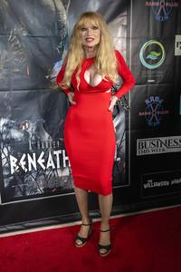 Filmpremiere 'Beneath Us All' in Los Angeles