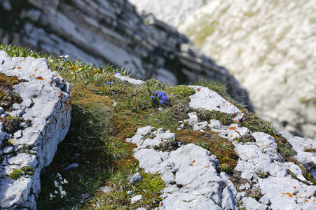 Auf dem Berg Säntis an der Schwägalp
